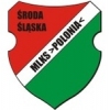 Polonia Środa Śląska