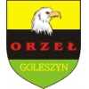 Orzeł Goleszyn