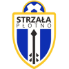 Strzała Płotno