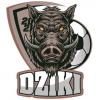 Dziki Skarżysko-Kamienna