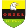 Orzeł II Goleszyn